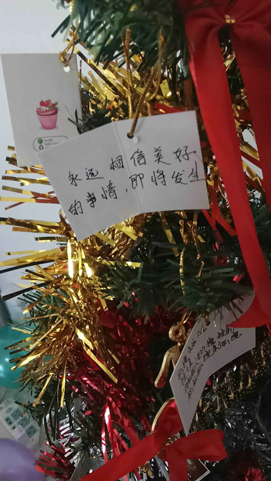 蓝网有爱|圣诞遇上冬至，祝您平安喜乐！